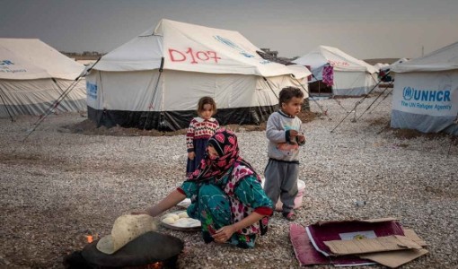 Varmt tack till Delicato och Stiftelsen Einer Belvén som skänkar två miljoner kronor till UNHCR:s arbete med att skydda människor på flykt.