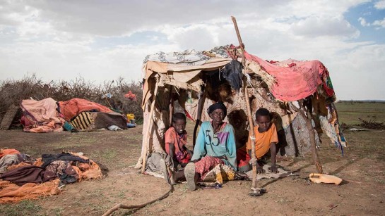 Maryama Yassin Mohamed är på flykt med sina tre barnbarn i Somalia. Hon tvingades flytta på grund av torkan. "Vi tvingades flytta på grund av torkan. Vi hade 200 få, nu har vi bara 50 kvar" berättar hon.